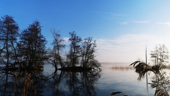 Klare Luft, klares Wasser! Gerade in den Wintermonaten zeigt sich die Magie des Schweriner Sees. © NDR/Heinz Galling 