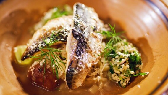 Gebratene Makrelenfilets mit Sauerkraut-Bouillon und Graupen auf einem Teller serviert. © NDR Foto: Tarik Rose