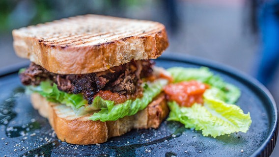 Reh-Burger mit Spitzkohl-Salat und Jogurt-Mayonnaise angerichtet auf einem blauen Essteller © NDR Foto: Tarik Rose