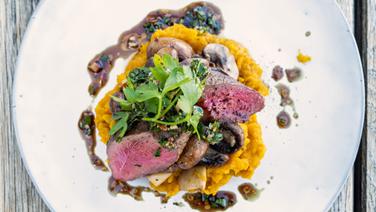 Pumpkin mash with venison leg steaks and mushrooms arranged on a plate.  © NDR Photo: Tarik Rose