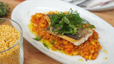 Sea bass fillet with lentil salad arranged on a plate.  © NDR Photo: Florian Kruck