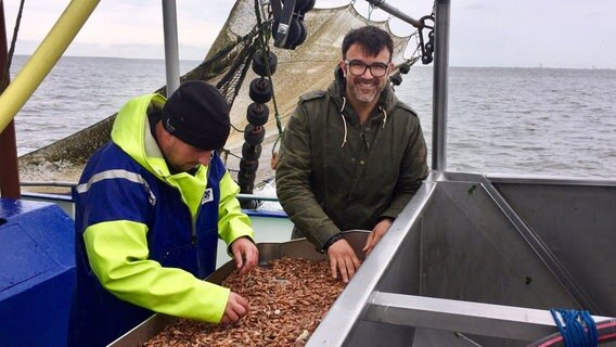 Tarik packt an Bord mit an. Die fangfrischen Krabben müssen direkt sortiert und abgekocht werden. © NDR/Svenja Halberstadt 