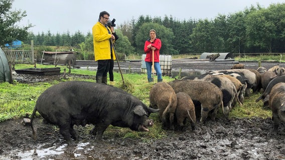 Koch Tarik Rose und Schweinezüchterin Solveig Steensen stehen auf einer Wiese mit Schweinen. © NDR Foto: Svenja Halberstadt
