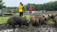 Koch Tarik Rose und Schweinezüchterin Solveig Steensen stehen auf einer Wiese mit Schweinen. © NDR Foto: Svenja Halberstadt