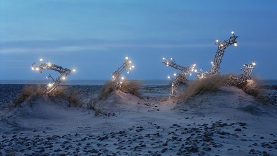 Rune Guneriussen © courtesy of the artist 