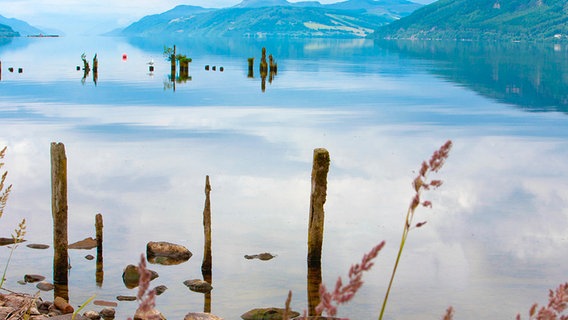 Loch Ness - der berühmteste aller schottischen Seen. Hier soll Nessie, das Seeungeheuer zu Hause sein... © © NDR/Bea Müller 