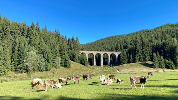 Das Chmarošský Viadukt im Dörfchen Telgart ist ein technisches Denkmal und eines der beliebtesten Foto-Motive der Slowakei. © NDR/TELLUX-Film GmbH/Till Lehmann 