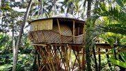 Komplett aus Bambus: Ein Haus des Architekten Pablo Luna. © NDR/Autentic Production/Martin Schacht 