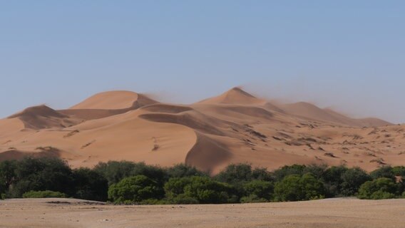 Rote Dünen der Namib-Wüste sind durch häufige starke Winde ständig in Bewegung. © NDR/Extravista/Erik Lötsch 