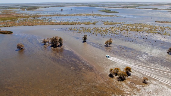 Das Mündungsdelta des Mississippi © NDR/Michael Höft HTTV 