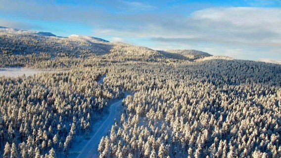 Winterwald in Lappland. © NDR/Dieter Stypmann 