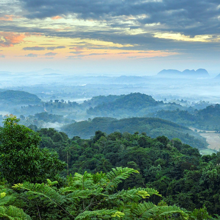 Morgenstimmung über den Hügeln vor Chiang Mai, Nordthailand © NDR/Wolfgang Schick 