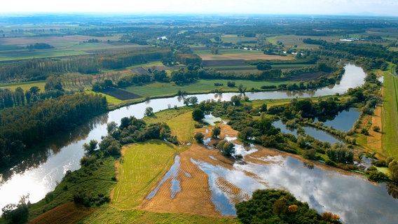 Die Oderauen in Oberschlesien. © NDR/Moers Media/Peter Moers 