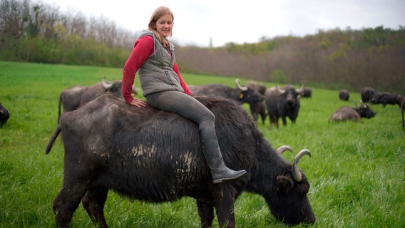 Zsófia Hajnal hat eine besondere Beziehung zu ihren Büffeln. © NDR/HTTV Produktion/Michael Höft 