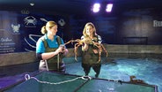 Heike Götz (Moderatorin) im SEA LIFE Timmendorfer Strand hat eine Seespinne vermessen. Hier mit Tierpflegerin Cathrin Pawlak (links). © NDR/Rainer Mueller-Delin 