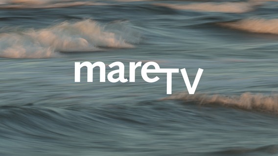 Logo der Sendung "Mare TV" © schwarzermann81 - stock.adobe.com 
