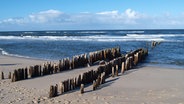 Lahnungen - Holzpfähle, die vom Strand ins Meer gesetzt wurden. © NDR 