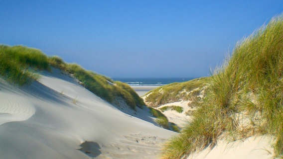 Ein Blick auf das Meer durch die Dünen. Vor Norddorf auf Amrum. Ein Blick auf das Meer durch die Dünen. Vor Norddorf auf Amrum. © NDR Foto: Thorsten Schulz