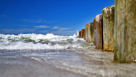 Nahaufnahme einer Welle, die sich an den Buhnen im Wasser der Ostsee bricht. © NDR Foto: Philipp Peuß