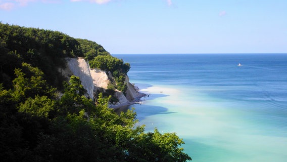 Blick auf die Steil·küste auf der Insel Rügen. © NDR Foto: Tina Lingrön