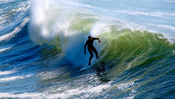 Surfer auf der Welle an der kalifornischen Küste © NDR Foto: Monique Petersen
