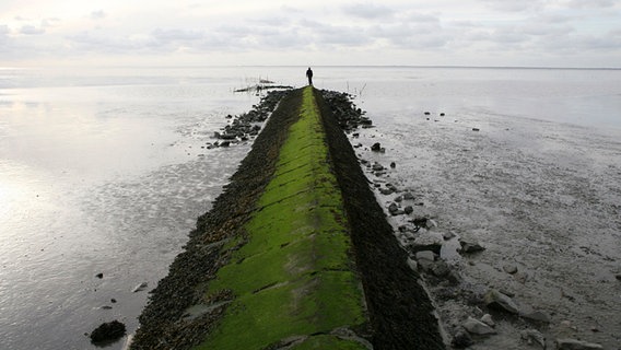 Seit 2009 UNESCO Weltnaturerbe: Das Wattenmeer. © © NDR/nonfictionplanet/Steven Galling 