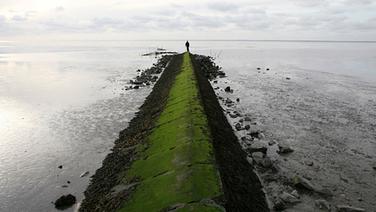 Seit 2009 UNESCO Weltnaturerbe: Das Wattenmeer. © © NDR/nonfictionplanet/Steven Galling, honorarfrei 