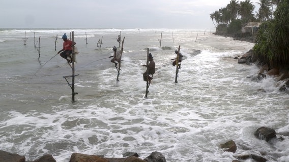 Posen ohne Pose: Den Stelzenfischern auf Sri Lanka geht es längst nicht mehr um Fisch - sie sind "Fotomodelle", die sich von den Touristinnen und Touristen bezahlen lassen. © NDR/nonfictionplanet/Dragomir Radosavljević 