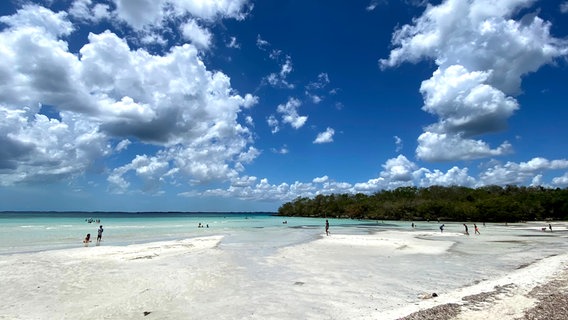 An der "Playa Larga" im Süden der Insel: Der "Lange Strand" macht seinem Namen alle Ehre, vier Kilometer weißer, von Palmen gesäumter Sand. © NDR/nonfictionplanet/Till Lehmann 