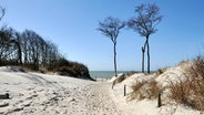 Die "Ostsee-Seite" der Halbinsel Fischland-Darß-Zingst. Im Süden liegt der Darßer Bodden. © NDR/nonfictionplanet/René Roloff 