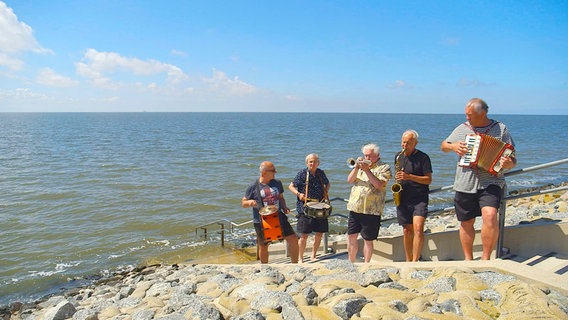 Das Sommerorchester ist eine Institution: Die ausgebildeten Profimusiker treten auch mal am Strand und im Watt auf. © NDR/nonfictionplanet/Florian Melzer 