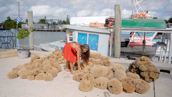 Barbara Reeves ist die einzige Schwammtaucherin von Tarpon Springs. Zusammen mit ihrem Mann Jack versucht sie, ihr Auskommen mit Naturschwämmen zu finden. Gar nicht so einfach, denn das Business ist fest in der Hand griechischer Einwanderer. © NDR/Johannes Rudolph 