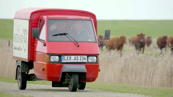 Ein knallrotes Auto und alte Brötchen vom Inselbäcker haben sich als Mittel bewährt, um die Kühe auf den weiten Wiesen des Ostlands anzulocken. © NDR / Eddy Zimmermann 