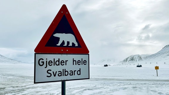 Rund 1000 Tiere Eisbären leben auf der Inselgruppe und dem vorgelagerten Packeis. Außerhalb der wenigen Siedlungsgebiete ist das Mitführen einer Waffe Pflicht. © NDR/Till Lehmann 