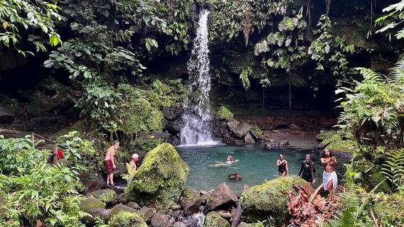 Freibad á la Dominica: Im Regenwald gibt es viele, versteckte „Nature-Pools“. © NDR/Till Lehmann 