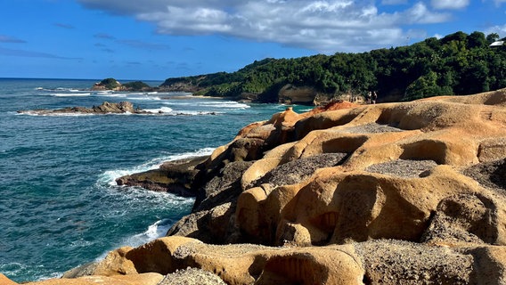Felsige Küste wie die „Red Rocks“ ist typisch für Dominica. Das weitgehende Fehlen weißer Sandstrände sorgt mit dafür, dass es bisher nur sanften Tourismus gibt. © NDR/Till Lehmann 