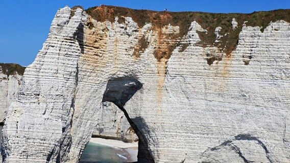 Dramatische Steilküste: Der Atlantik hat die berühmten Kreidefelsen der Normandie geformt. © NDR/Florian Melzer 