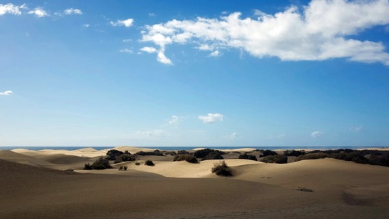 Ein Wahrzeichen von Gran Canaria sind die Dünen von Maspalomas. Die Sahara im Süden der Insel steht unter Naturschutz und besteht aus zeriebenem Muschelkalk. © NDR/nonfictionplanet/Till Lehmann 