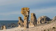 Die bizarren Kalksteinfiguren auf Gotland heißen Raukare und sind von Wind und Wetter geformt. © NDR/Florian Melzer 