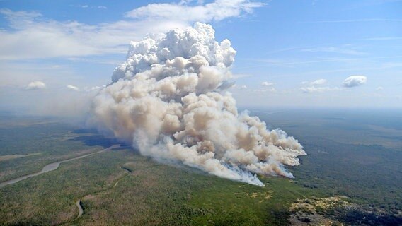 Sieht aus wie ein Vulkanausbruch, ist aber ein kontrolliertes Feuer im Everglades Nationalpark. © NDR/nonfictionplanet/Florian Melzer 