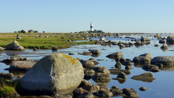 Steine und Felsbrocken prägen die Südküste der schwedischen Insel Öland. © NDR/Johannes Rudolph 