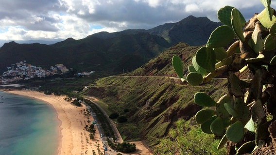 Vulkaninsel Teneriffa: die abwechslungsreiche Natur und das milde Klima machen Teneriffa zu einem beliebten Urlaubsziel. © NDR/ Ralf Biehler 