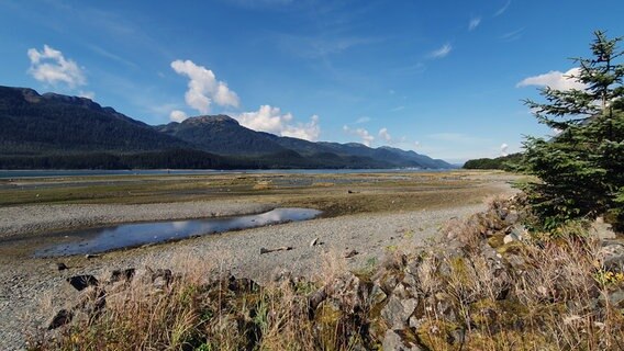 Die Landschaft des Tongass National Forest unter blauem Himmel. © NDR/nonfictionplanet/Ralf Biehler 