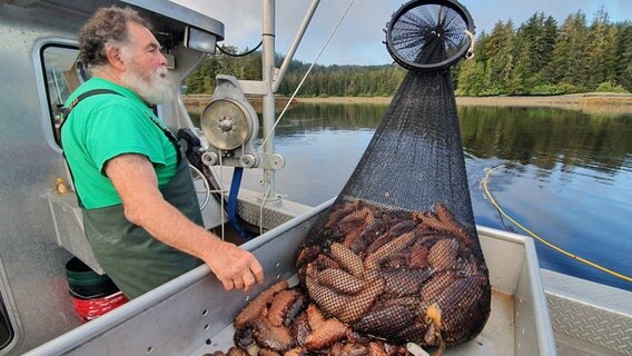 Larry Trani beim Fischen von Seegurken. © NDR/nonfictionplanet/Ralf Biehler 