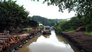 Familien Business Holzkohle: Täglich fahren Köhler mit Booten zur Mangrovenholz- Ernte. Der Wald wurde extra dafür angelegt. Rund 30 Familien leben in Kuala Sepetang an der Westküste Malaysias von der Holzkohle. © NDR/nonfictionplanet 