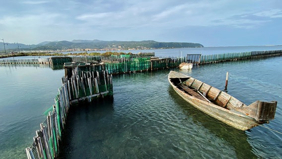 In der Lagune vor Lefkada-Stadt, auf der Ionsichen Insel Lefkada, haben die Fischer der Gemeinde ein ausgeklügeltes Reusensystem errichtet. © NDR/nonfictionplanet/Till Lehmann 