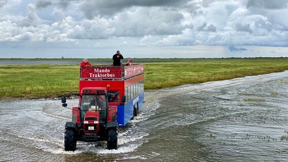 Auf die Insel Mandø kommt man nur mit dem Traktorbus – im Takt der Tiden. © NDR/nonfictionplanet/Till Lehmann 