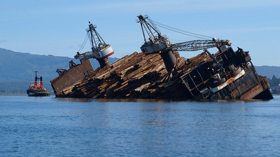 Schräge Idee: in British Columbia setzt die Holzindustrie auf eine sehr spezielle Entladetechnik. © NDR/nonfictionplante/Ralf Biehler 