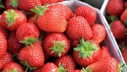 Erdbeere lambada