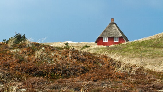 Einsames Ferienhaus in Nymindegab Dänemark © Fotolia.com Foto: fmu64